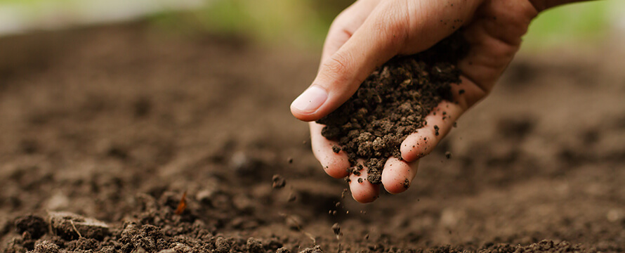 土壌汚染の問題と原因